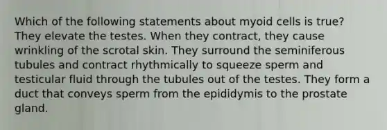 Which of the following statements about myoid cells is true? They elevate the testes. When they contract, they cause wrinkling of the scrotal skin. They surround the seminiferous tubules and contract rhythmically to squeeze sperm and testicular fluid through the tubules out of the testes. They form a duct that conveys sperm from the epididymis to the prostate gland.