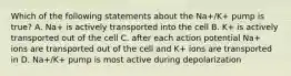 Which of the following statements about the Na+/K+ pump is true? A. Na+ is actively transported into the cell B. K+ is actively transported out of the cell C. after each action potential Na+ ions are transported out of the cell and K+ ions are transported in D. Na+/K+ pump is most active during depolarization