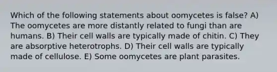 Which of the following statements about oomycetes is false? A) The oomycetes are more distantly related to fungi than are humans. B) Their cell walls are typically made of chitin. C) They are absorptive heterotrophs. D) Their cell walls are typically made of cellulose. E) Some oomycetes are plant parasites.