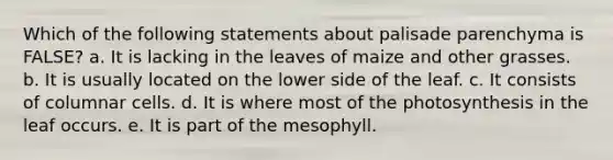 Which of the following statements about palisade parenchyma is FALSE? a. It is lacking in the leaves of maize and other grasses. b. It is usually located on the lower side of the leaf. c. It consists of columnar cells. d. It is where most of the photosynthesis in the leaf occurs. e. It is part of the mesophyll.