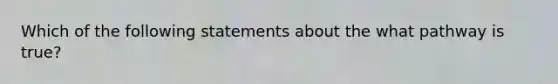 Which of the following statements about the what pathway is true?