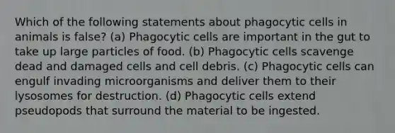 Which of the following statements about phagocytic cells in animals is false? (a) Phagocytic cells are important in the gut to take up large particles of food. (b) Phagocytic cells scavenge dead and damaged cells and cell debris. (c) Phagocytic cells can engulf invading microorganisms and deliver them to their lysosomes for destruction. (d) Phagocytic cells extend pseudopods that surround the material to be ingested.