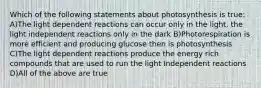 Which of the following statements about photosynthesis is true: A)The light dependent reactions can occur only in the light, the light independent reactions only in the dark B)Photorespiration is more efficient and producing glucose then is photosynthesis C)The light dependent reactions produce the energy rich compounds that are used to run the light Independent reactions D)All of the above are true