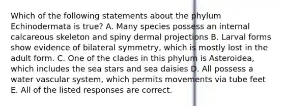 Which of the following statements about the phylum Echinodermata is true? A. Many species possess an internal calcareous skeleton and spiny dermal projections B. Larval forms show evidence of bilateral symmetry, which is mostly lost in the adult form. C. One of the clades in this phylum is Asteroidea, which includes the sea stars and sea daisies D. All possess a water vascular system, which permits movements via tube feet E. All of the listed responses are correct.