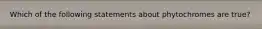 Which of the following statements about phytochromes are true?