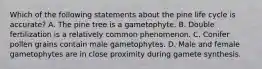 Which of the following statements about the pine life cycle is accurate? A. The pine tree is a gametophyte. B. Double fertilization is a relatively common phenomenon. C. Conifer pollen grains contain male gametophytes. D. Male and female gametophytes are in close proximity during gamete synthesis.