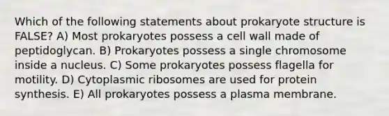 Which of the following statements about prokaryote structure is FALSE? A) Most prokaryotes possess a cell wall made of peptidoglycan. B) Prokaryotes possess a single chromosome inside a nucleus. C) Some prokaryotes possess flagella for motility. D) Cytoplasmic ribosomes are used for protein synthesis. E) All prokaryotes possess a plasma membrane.