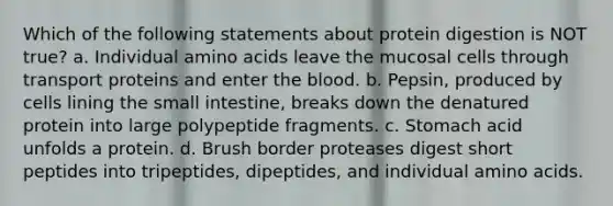 Which of the following statements about protein digestion is NOT true? a. Individual amino acids leave the mucosal cells through transport proteins and enter the blood. b. Pepsin, produced by cells lining the small intestine, breaks down the denatured protein into large polypeptide fragments. c. Stomach acid unfolds a protein. d. Brush border proteases digest short peptides into tripeptides, dipeptides, and individual amino acids.