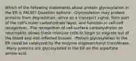 Which of the following statements about protein glycosylation in the ER is FALSE? Question options: -Glycosylation may protect proteins from degradation, serve as a transport signal, form part of the cell's outer carbohydrate layer, and function in cell-cell recognition. -The recognition of cell-surface carbohydrates on neutrophils allows these immune cells to begin to migrate out of the blood and into infected tissues. -Protein glycosylation in the ER could be catalyzed by the enzyme oligosaccharyl transferase. -Many proteins are glycosylated in the ER on the aspartate amino acid.