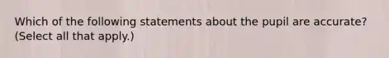 Which of the following statements about the pupil are accurate? (Select all that apply.)