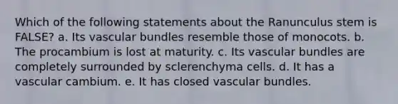 Which of the following statements about the Ranunculus stem is FALSE? a. Its vascular bundles resemble those of monocots. b. The procambium is lost at maturity. c. Its vascular bundles are completely surrounded by sclerenchyma cells. d. It has a vascular cambium. e. It has closed vascular bundles.