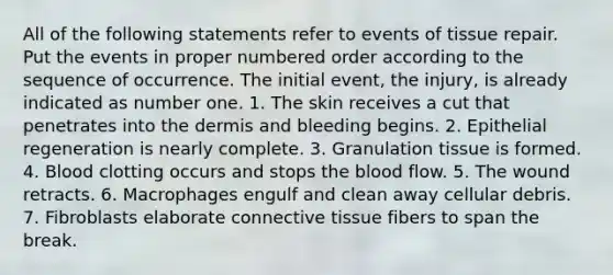 All of the following statements refer to events of tissue repair. Put the events in proper numbered order according to the sequence of occurrence. The initial event, the injury, is already indicated as number one. 1. The skin receives a cut that penetrates into the dermis and bleeding begins. 2. Epithelial regeneration is nearly complete. 3. Granulation tissue is formed. 4. Blood clotting occurs and stops the blood flow. 5. The wound retracts. 6. Macrophages engulf and clean away cellular debris. 7. Fibroblasts elaborate connective tissue fibers to span the break.