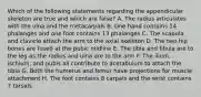 Which of the following statements regarding the appendicular skeleton are true and which are false? A. The radius articulates with the ulna and the metacarpals B. One hand contains 14 phalanges and one foot contains 13 phalanges C. The scapula and clavicle attach the arm to the axial skeleton D. The two hip bones are fused at the pubic midline E. The tibia and fibula are to the leg as the radius and ulna are to the arm F. The ilium, ischium, and pubis all contribute to acetabulum to attach the tibia G. Both the humerus and femur have projections for muscle attachment H. The foot contains 8 carpals and the wrist contains 7 tarsals