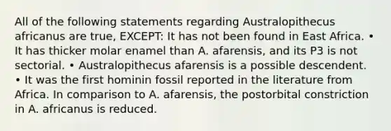 All of the following statements regarding Australopithecus africanus are true, EXCEPT: It has not been found in East Africa. • It has thicker molar enamel than A. afarensis, and its P3 is not sectorial. • Australopithecus afarensis is a possible descendent. • It was the first hominin fossil reported in the literature from Africa. In comparison to A. afarensis, the postorbital constriction in A. africanus is reduced.