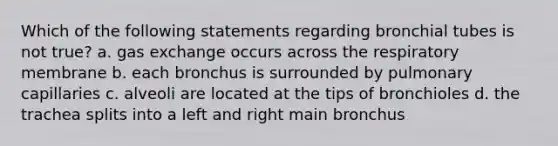 Which of the following statements regarding bronchial tubes is not true? a. gas exchange occurs across the respiratory membrane b. each bronchus is surrounded by pulmonary capillaries c. alveoli are located at the tips of bronchioles d. the trachea splits into a left and right main bronchus