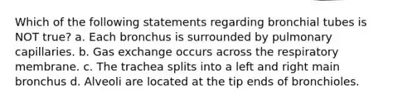 Which of the following statements regarding bronchial tubes is NOT true? a. Each bronchus is surrounded by pulmonary capillaries. b. Gas exchange occurs across the respiratory membrane. c. The trachea splits into a left and right main bronchus d. Alveoli are located at the tip ends of bronchioles.