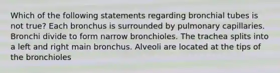 Which of the following statements regarding bronchial tubes is not true? Each bronchus is surrounded by pulmonary capillaries. Bronchi divide to form narrow bronchioles. The trachea splits into a left and right main bronchus. Alveoli are located at the tips of the bronchioles