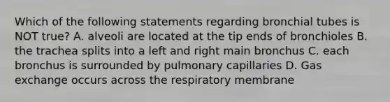 Which of the following statements regarding bronchial tubes is NOT true? A. alveoli are located at the tip ends of bronchioles B. the trachea splits into a left and right main bronchus C. each bronchus is surrounded by pulmonary capillaries D. Gas exchange occurs across the respiratory membrane