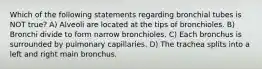 Which of the following statements regarding bronchial tubes is NOT true? A) Alveoli are located at the tips of bronchioles. B) Bronchi divide to form narrow bronchioles. C) Each bronchus is surrounded by pulmonary capillaries. D) The trachea splits into a left and right main bronchus.