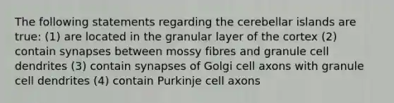 The following statements regarding the cerebellar islands are true: (1) are located in the granular layer of the cortex (2) contain synapses between mossy fibres and granule cell dendrites (3) contain synapses of Golgi cell axons with granule cell dendrites (4) contain Purkinje cell axons