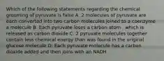 Which of the following statements regarding the chemical grooming of pyruvate is false A. 2 molecules of pyruvate are each converted into two carbon molecules joined to a coenzyme a molecule B. Each pyruvate loses a carbon atom , which is released as carbon dioxide C. 2 pyruvate molecules together contain less chemical energy than was found in the original glucose molecule D. Each pyruvate molecule has a carbon dioxide added and then joins with an NADH