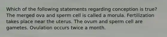 Which of the following statements regarding conception is true? The merged ova and sperm cell is called a morula. Fertilization takes place near the uterus. The ovum and sperm cell are gametes. Ovulation occurs twice a month.