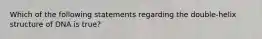 Which of the following statements regarding the double-helix structure of DNA is true?