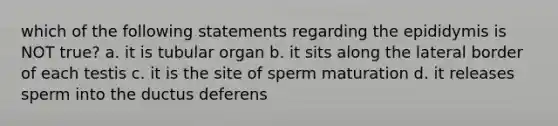 which of the following statements regarding the epididymis is NOT true? a. it is tubular organ b. it sits along the lateral border of each testis c. it is the site of sperm maturation d. it releases sperm into the ductus deferens