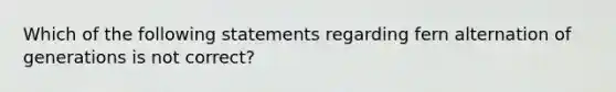 Which of the following statements regarding fern alternation of generations is not correct?