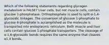 Which of the following statements regarding glycogen metabolism is FALSE? Liver cells, but not muscle cells, contain glucose 1-phosphatase. Orthophosphate is used to split α-1,4-glycosidic linkages. The conversion of glucose 1-phosphate to glucose 6-phosphate is accomplished as the molecule is transported into endoplasmic reticulum. Both muscle and liver cells contain glucose 1-phosphate transporters. The cleavage of α-1,6-glycosidic bonds requires the same enzyme that cleaves α1,4 bonds.