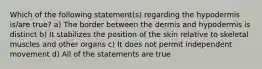 Which of the following statement(s) regarding the hypodermis is/are true? a) The border between the dermis and hypodermis is distinct b) It stabilizes the position of the skin relative to skeletal muscles and other organs c) It does not permit independent movement d) All of the statements are true