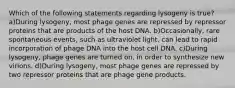 Which of the following statements regarding lysogeny is true? a)During lysogeny, most phage genes are repressed by repressor proteins that are products of the host DNA. b)Occasionally, rare spontaneous events, such as ultraviolet light, can lead to rapid incorporation of phage DNA into the host cell DNA. c)During lysogeny, phage genes are turned on, in order to synthesize new virions. d)During lysogeny, most phage genes are repressed by two repressor proteins that are phage gene products.