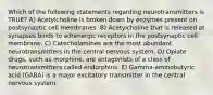 Which of the following statements regarding neurotransmitters is TRUE? A) Acetylcholine is broken down by enzymes present on postsynaptic cell membranes. B) Acetylcholine that is released at synapses binds to adrenergic receptors in the postsynaptic cell membrane. C) Catecholamines are the most abundant neurotransmitters in the central nervous system. D) Opiate drugs, such as morphine, are antagonists of a class of neurotransmitters called endorphins. E) Gamma-aminobutyric acid (GABA) is a major excitatory transmitter in the central nervous system.