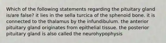 Which of the following statements regarding the pituitary gland is/are false? it lies in the sella turcica of the sphenoid bone. it is connected to the thalamus by the infundibulum. the anterior pituitary gland originates from epithelial tissue. the posterior pituitary gland is also called the neurohypophysis