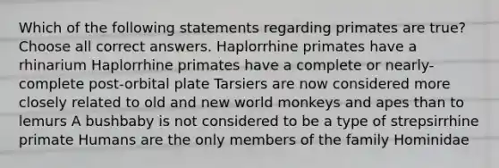 Which of the following statements regarding primates are true? Choose all correct answers. Haplorrhine primates have a rhinarium Haplorrhine primates have a complete or nearly-complete post-orbital plate Tarsiers are now considered more closely related to old and new world monkeys and apes than to lemurs A bushbaby is not considered to be a type of strepsirrhine primate Humans are the only members of the family Hominidae