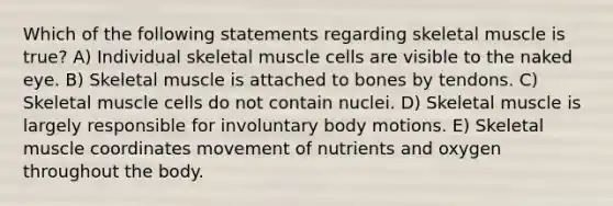 Which of the following statements regarding skeletal muscle is true? A) Individual skeletal muscle cells are visible to the naked eye. B) Skeletal muscle is attached to bones by tendons. C) Skeletal muscle cells do not contain nuclei. D) Skeletal muscle is largely responsible for involuntary body motions. E) Skeletal muscle coordinates movement of nutrients and oxygen throughout the body.