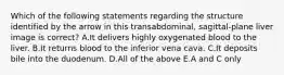 Which of the following statements regarding the structure identified by the arrow in this transabdominal, sagittal-plane liver image is correct? A.It delivers highly oxygenated blood to the liver. B.It returns blood to the inferior vena cava. C.It deposits bile into the duodenum. D.All of the above E.A and C only