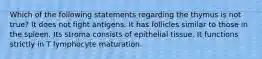 Which of the following statements regarding the thymus is not true? It does not fight antigens. It has follicles similar to those in the spleen. Its stroma consists of epithelial tissue. It functions strictly in T lymphocyte maturation.