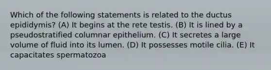 Which of the following statements is related to the ductus epididymis? (A) It begins at the rete testis. (B) It is lined by a pseudostratified columnar epithelium. (C) It secretes a large volume of fluid into its lumen. (D) It possesses motile cilia. (E) It capacitates spermatozoa