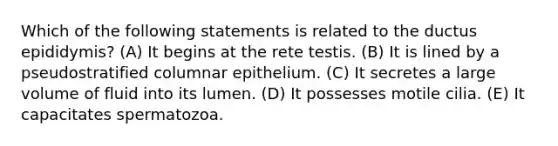 Which of the following statements is related to the ductus epididymis? (A) It begins at the rete testis. (B) It is lined by a pseudostratified columnar epithelium. (C) It secretes a large volume of fluid into its lumen. (D) It possesses motile cilia. (E) It capacitates spermatozoa.