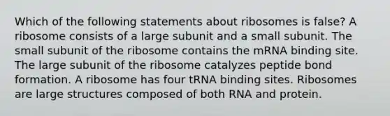 Which of the following statements about ribosomes is false? A ribosome consists of a large subunit and a small subunit. The small subunit of the ribosome contains the mRNA binding site. The large subunit of the ribosome catalyzes peptide bond formation. A ribosome has four tRNA binding sites. Ribosomes are large structures composed of both RNA and protein.