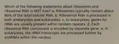 Which of the following statements about ribosomes and ribosomal RNA is NOT true? a. Ribosomes typically contain about 80% of the total cellular RNA. b. Ribosomal RNA is processed in both prokaryotes and eukaryotes. c. In eukaryotes, genes for rRNA are usually present within tandem repeats. d. Each ribosomal RNA component is encoded by separate gene. e. In eukaryotes, the rRNA transcripts are processed further by snoRNAs within the nucleus.