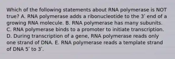 Which of the following statements about RNA polymerase is NOT true? A. RNA polymerase adds a ribonucleotide to the 3ʹ end of a growing RNA molecule. B. RNA polymerase has many subunits. C. RNA polymerase binds to a promoter to initiate transcription. D. During transcription of a gene, RNA polymerase reads only one strand of DNA. E. RNA polymerase reads a template strand of DNA 5ʹ to 3ʹ.