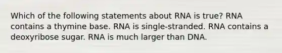 Which of the following statements about RNA is true? RNA contains a thymine base. RNA is single-stranded. RNA contains a deoxyribose sugar. RNA is much larger than DNA.