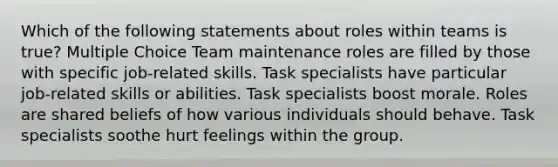 Which of the following statements about roles within teams is true? Multiple Choice Team maintenance roles are filled by those with specific job-related skills. Task specialists have particular job-related skills or abilities. Task specialists boost morale. Roles are shared beliefs of how various individuals should behave. Task specialists soothe hurt feelings within the group.