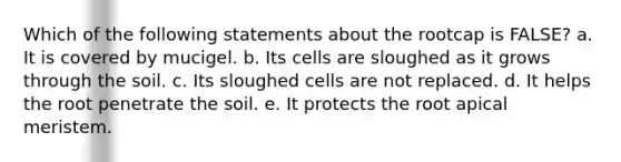 Which of the following statements about the rootcap is FALSE? a. It is covered by mucigel. b. Its cells are sloughed as it grows through the soil. c. Its sloughed cells are not replaced. d. It helps the root penetrate the soil. e. It protects the root apical meristem.