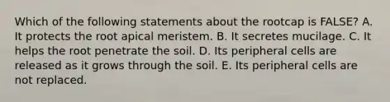 Which of the following statements about the rootcap is FALSE? A. It protects the root apical meristem. B. It secretes mucilage. C. It helps the root penetrate the soil. D. Its peripheral cells are released as it grows through the soil. E. Its peripheral cells are not replaced.