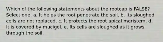 Which of the following statements about the rootcap is FALSE? Select one: a. It helps the root penetrate the soil. b. Its sloughed cells are not replaced. c. It protects the root apical meristem. d. It is covered by mucigel. e. Its cells are sloughed as it grows through the soil.