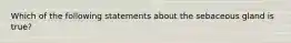 Which of the following statements about the sebaceous gland is true?