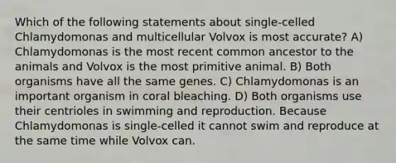 Which of the following statements about single-celled Chlamydomonas and multicellular Volvox is most accurate? A) Chlamydomonas is the most recent common ancestor to the animals and Volvox is the most primitive animal. B) Both organisms have all the same genes. C) Chlamydomonas is an important organism in coral bleaching. D) Both organisms use their centrioles in swimming and reproduction. Because Chlamydomonas is single-celled it cannot swim and reproduce at the same time while Volvox can.